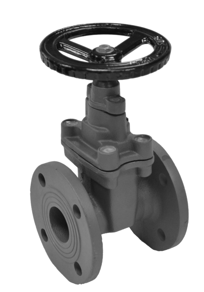 Cast iron gate valve GVR-F